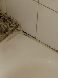 Moldy shower