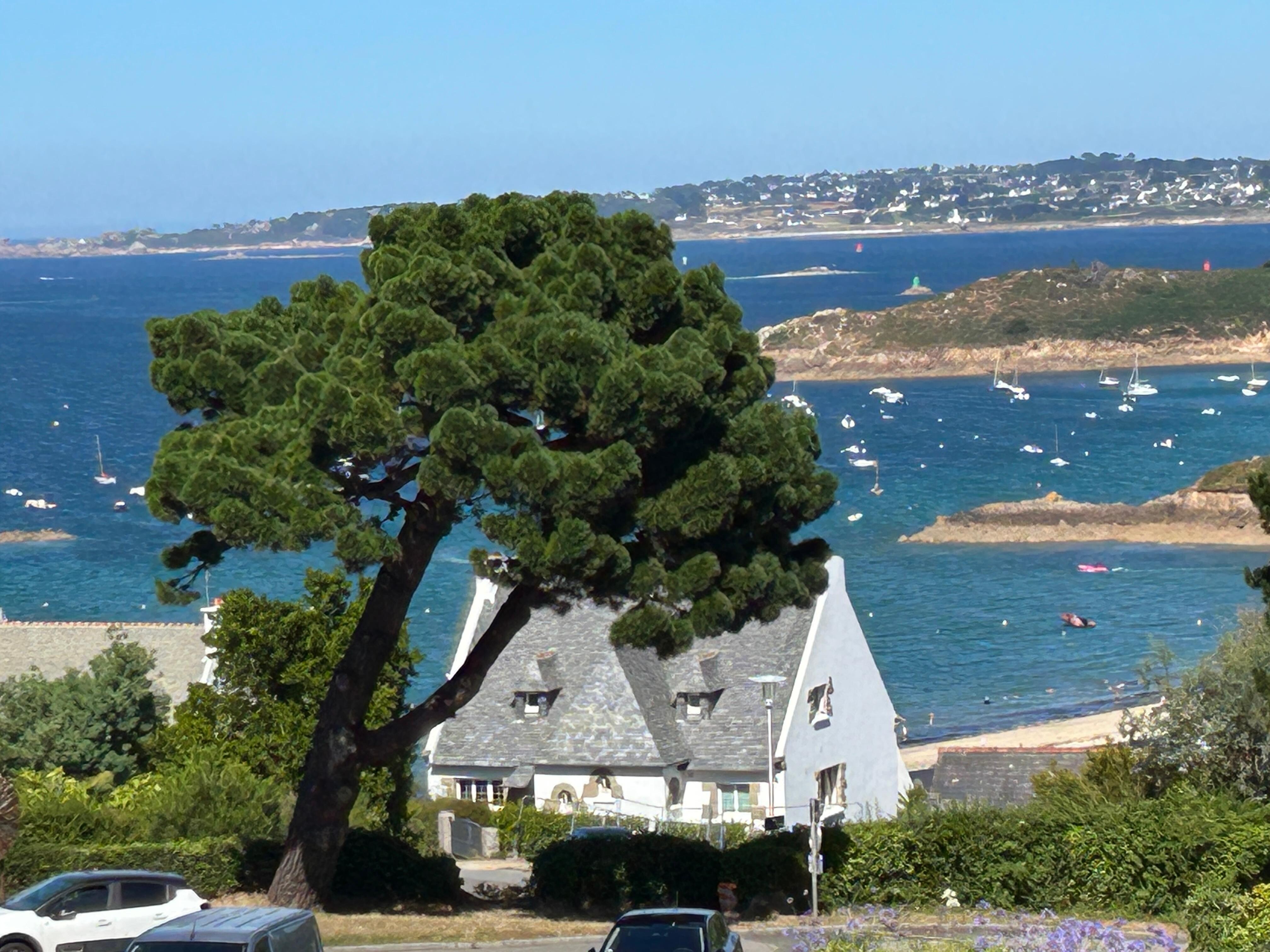 Magnifique !Vue de l’appartement 