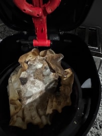 Moldy filter in the coffee pot.