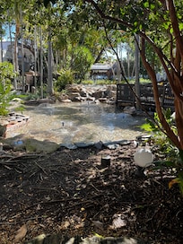 Gardens between two pools
