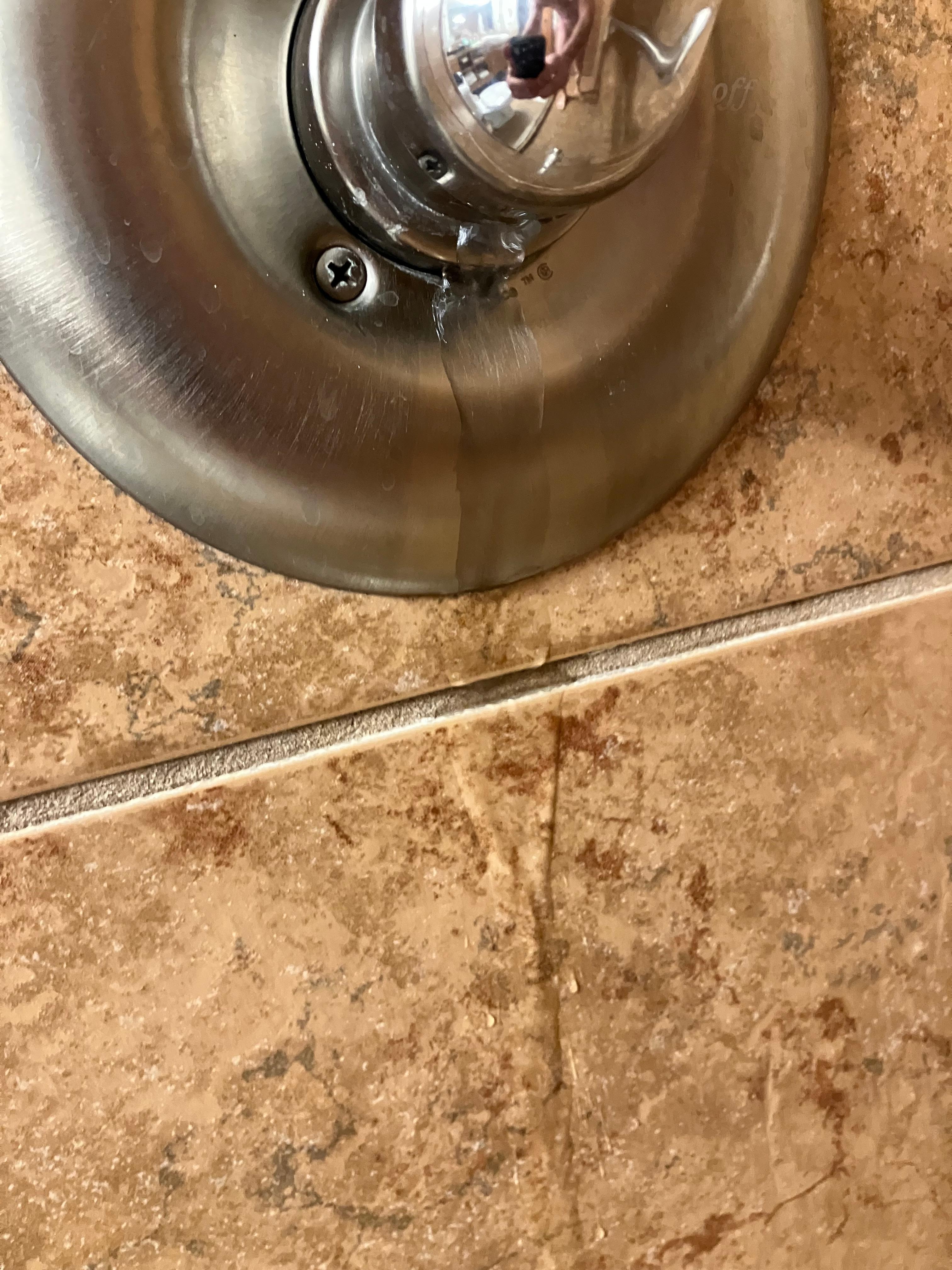 Leaking shower faucet