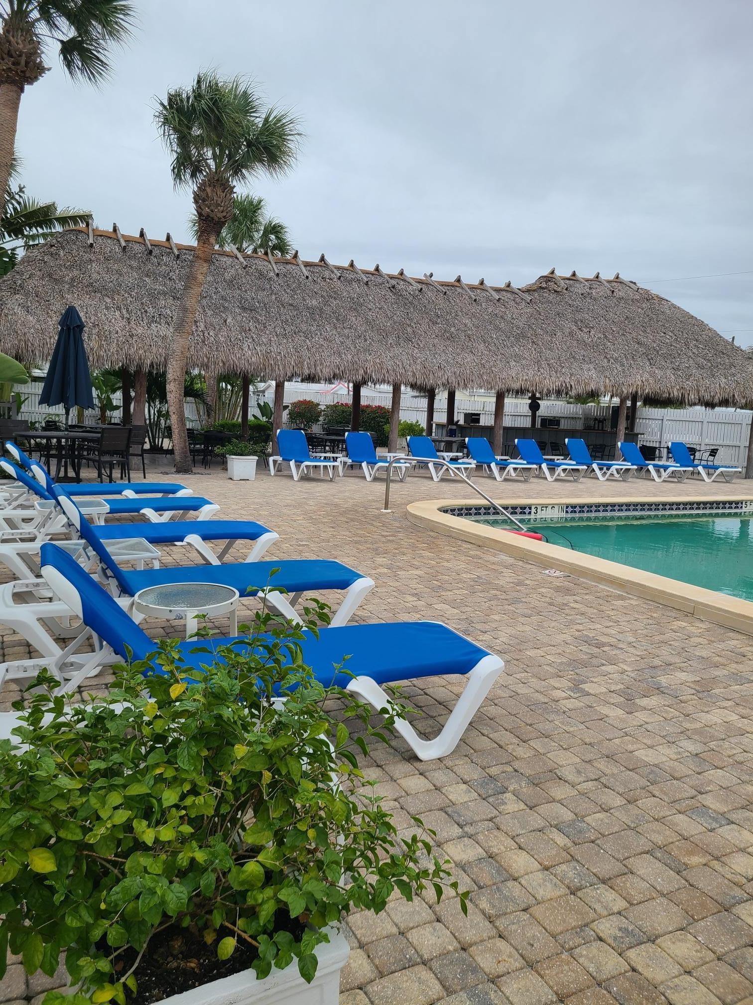 Thatched roof over breakfast buffet by lovely large pool up to 8 foot. 