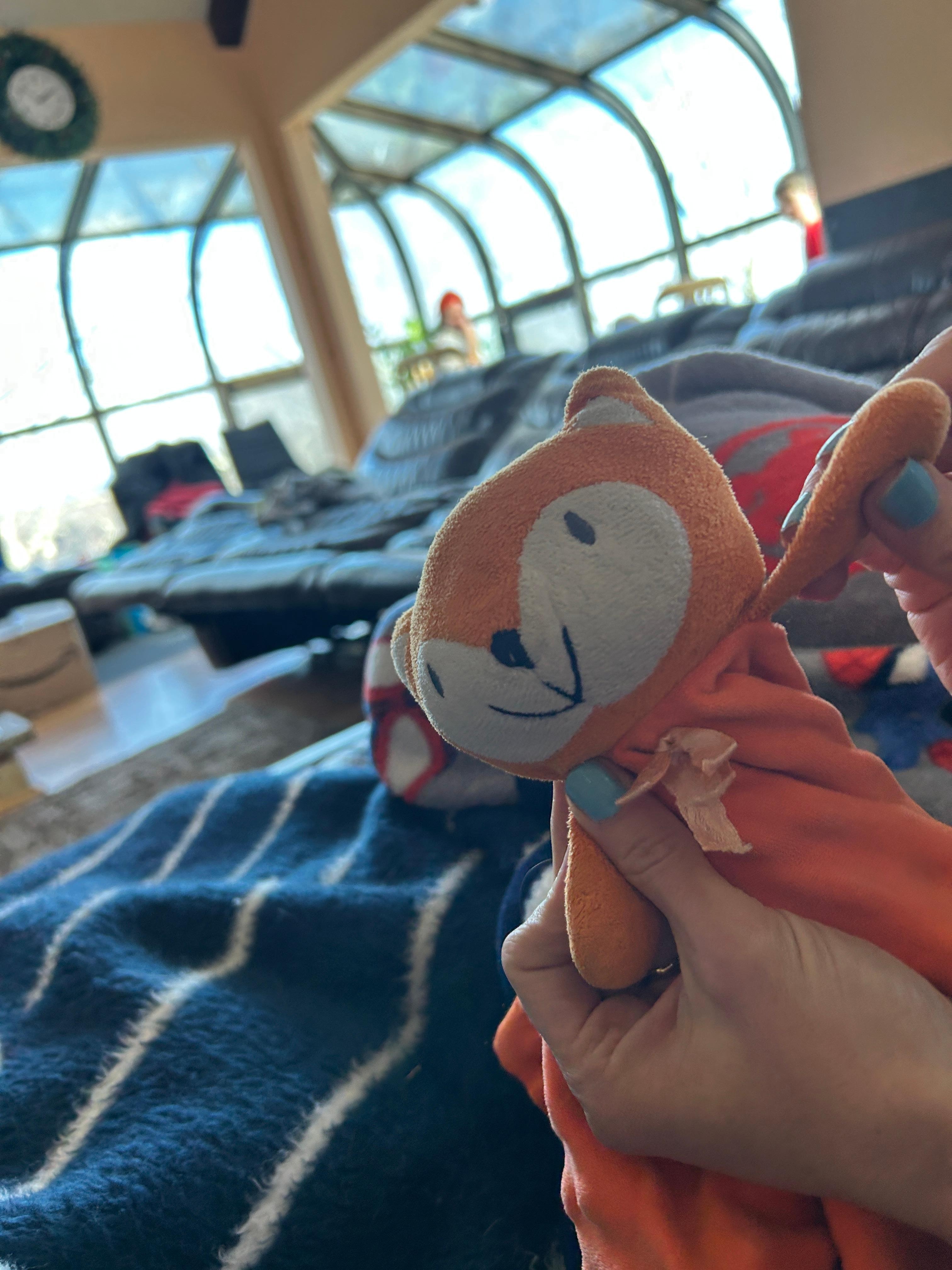 Foxy loved the house! 