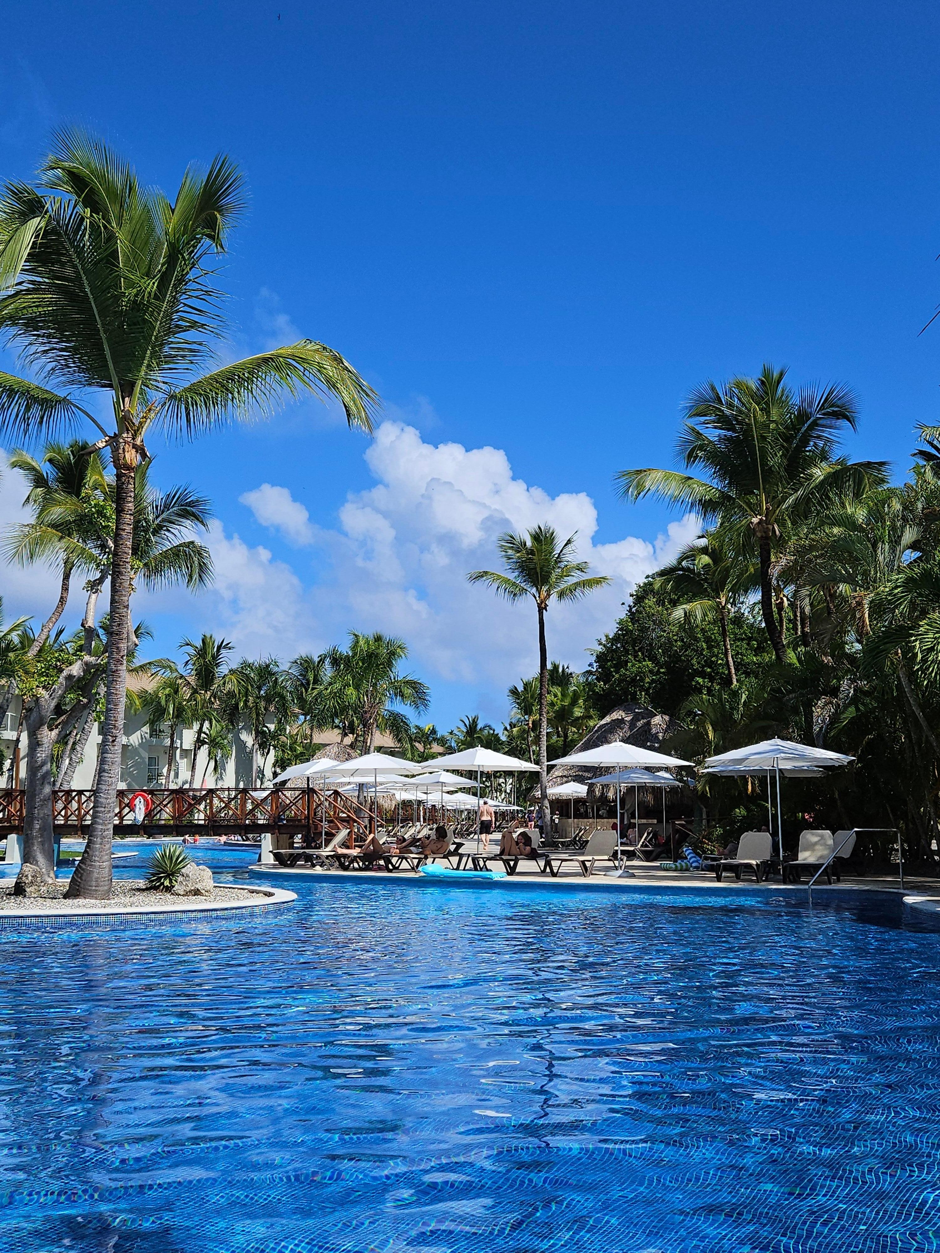 The pool that runs the length of the property was everything. 