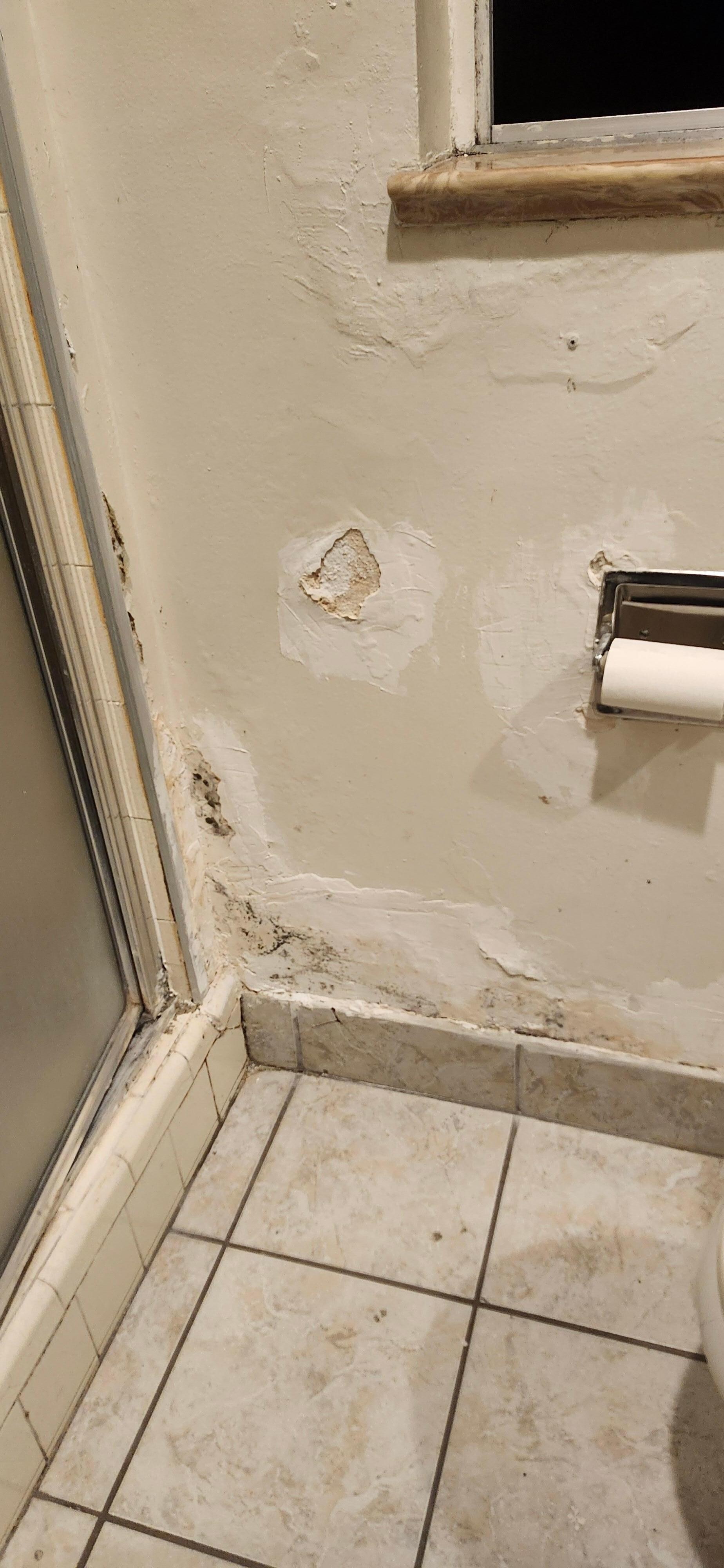 Mold