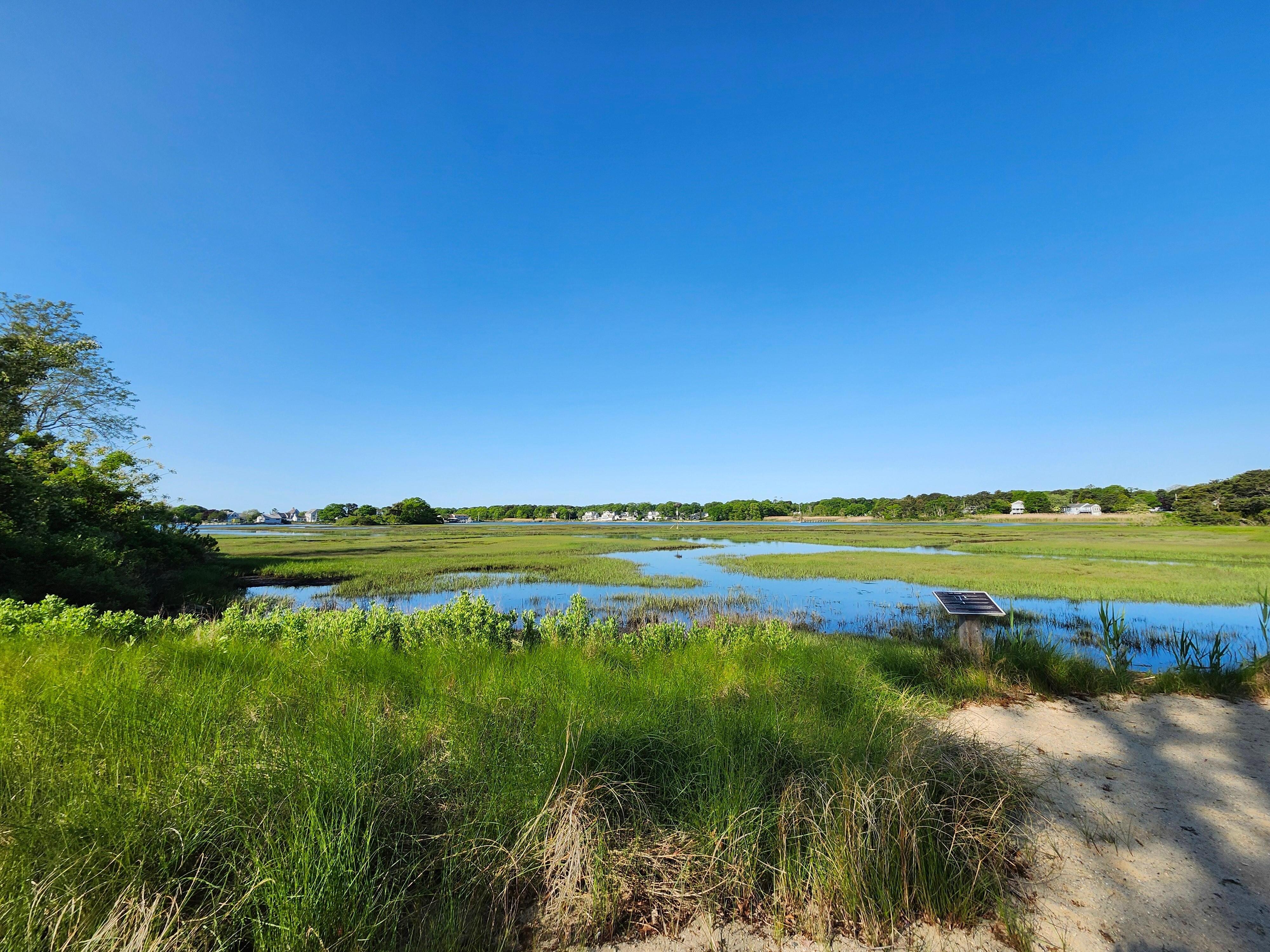 Salt marsh behind property. 