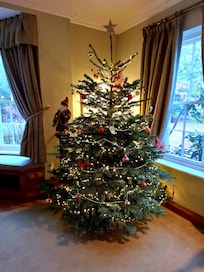 The beautiful Christmas tree in the breakfast room