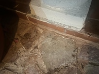There were hundreds of giant ants infesting the space just outside the back bedroom.