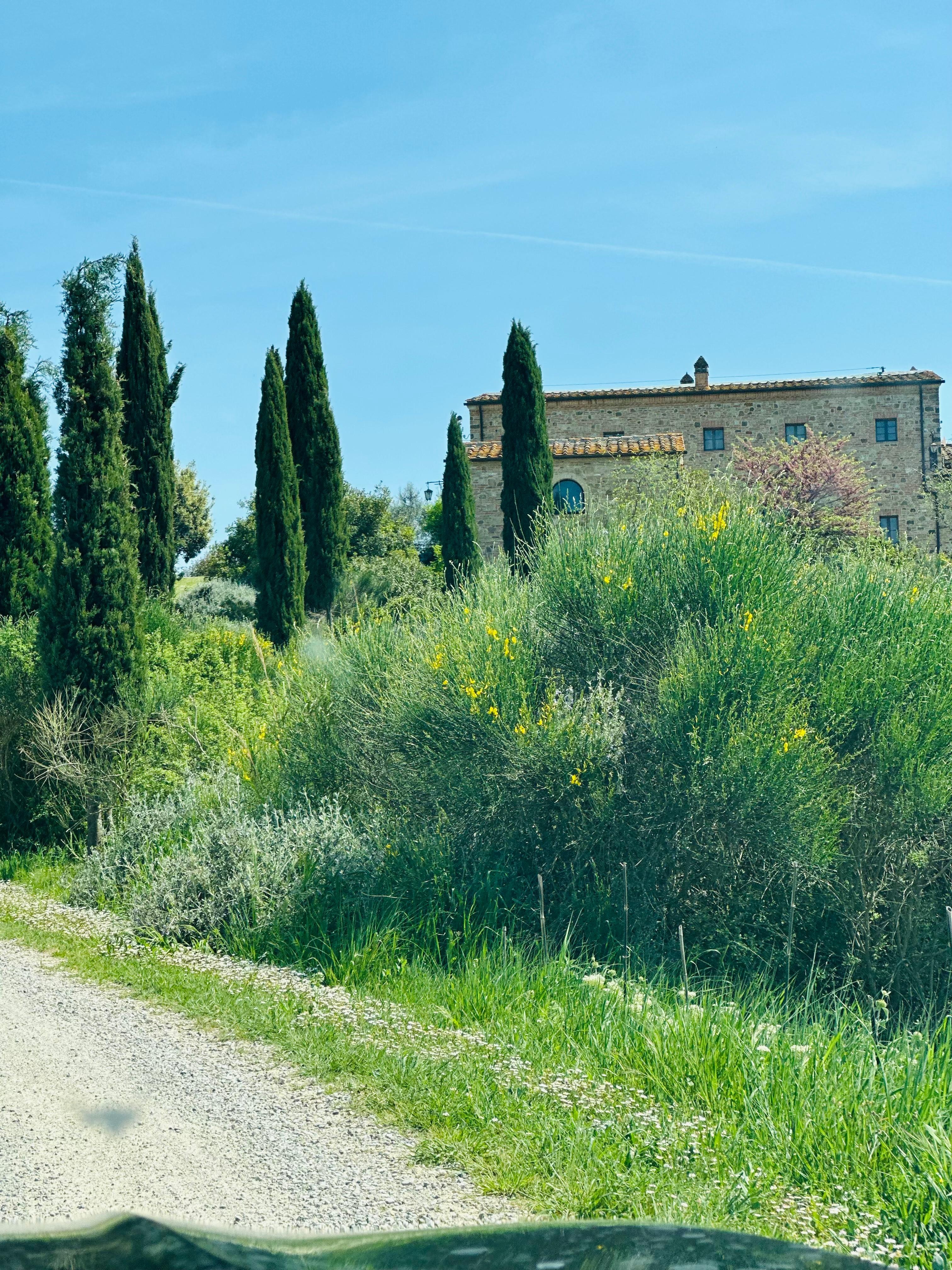 View driving up to Podere Cunina