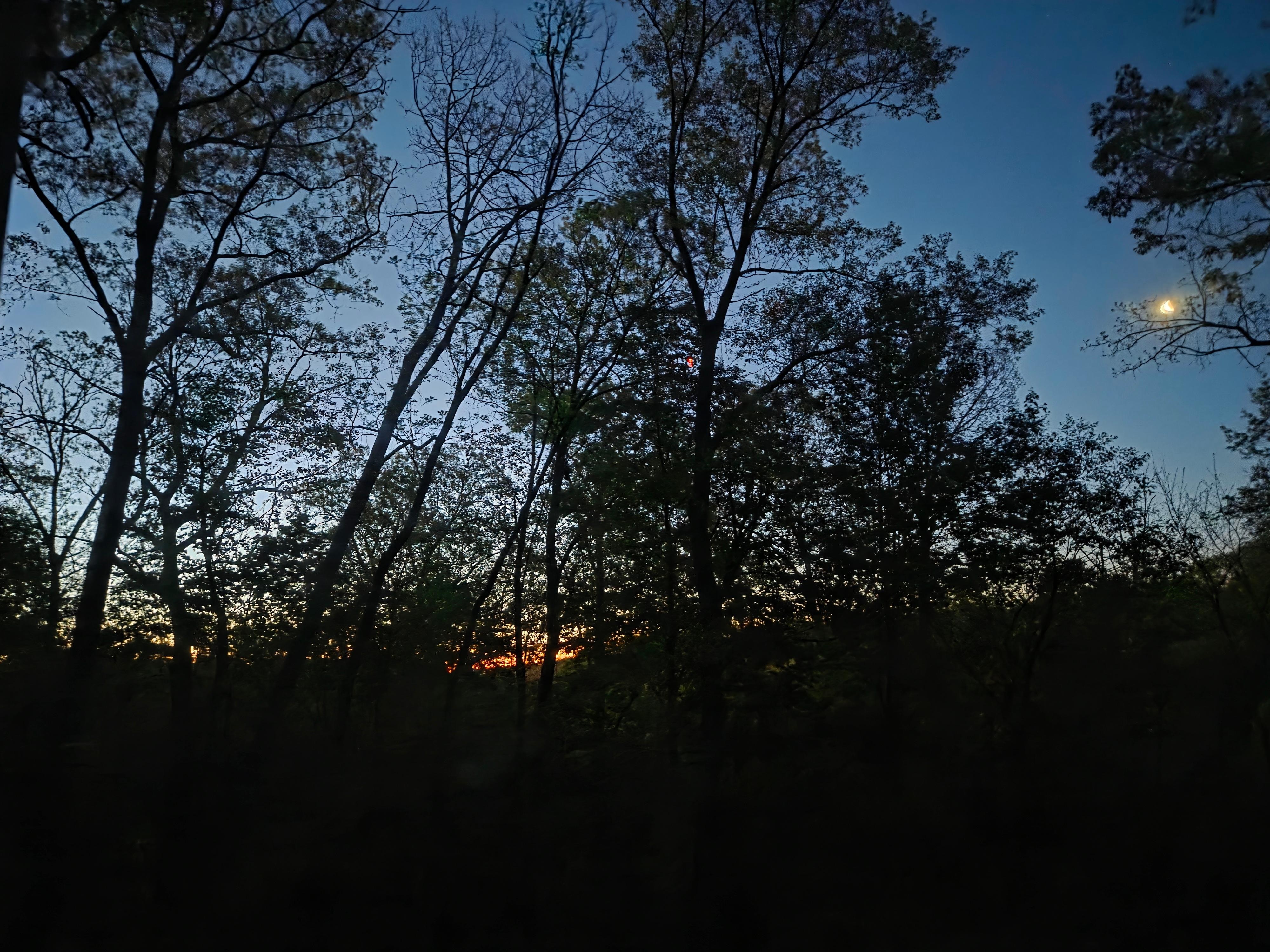 Sunrise view from the living room