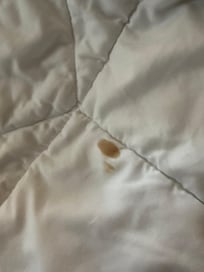 Stain close up