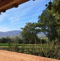 Ausblick von der Terrasse