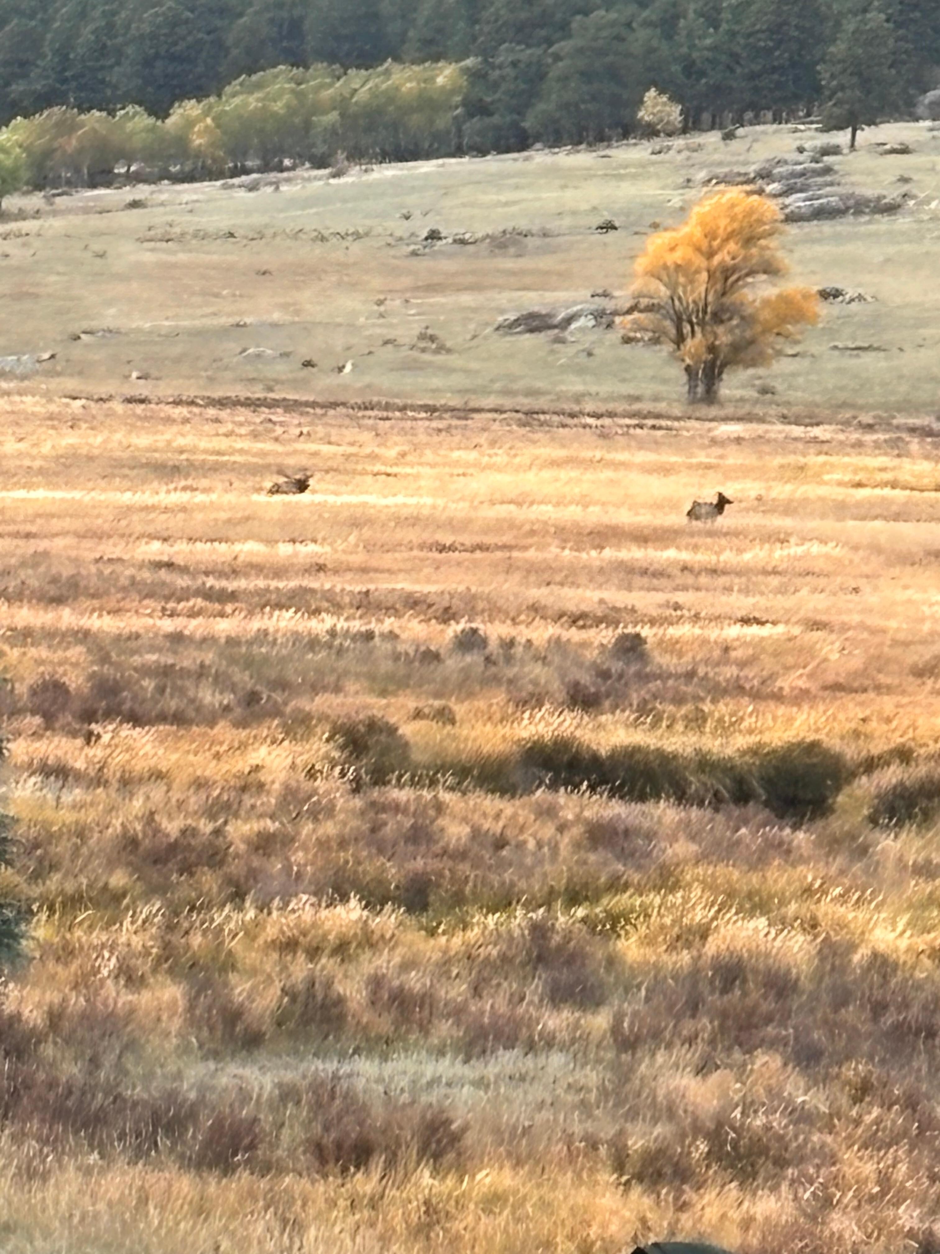 Looking off the front porch 