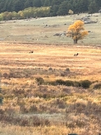 Looking off the front porch