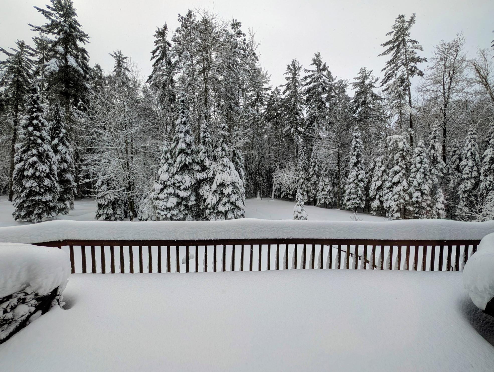 looking out over the front desk after the storm