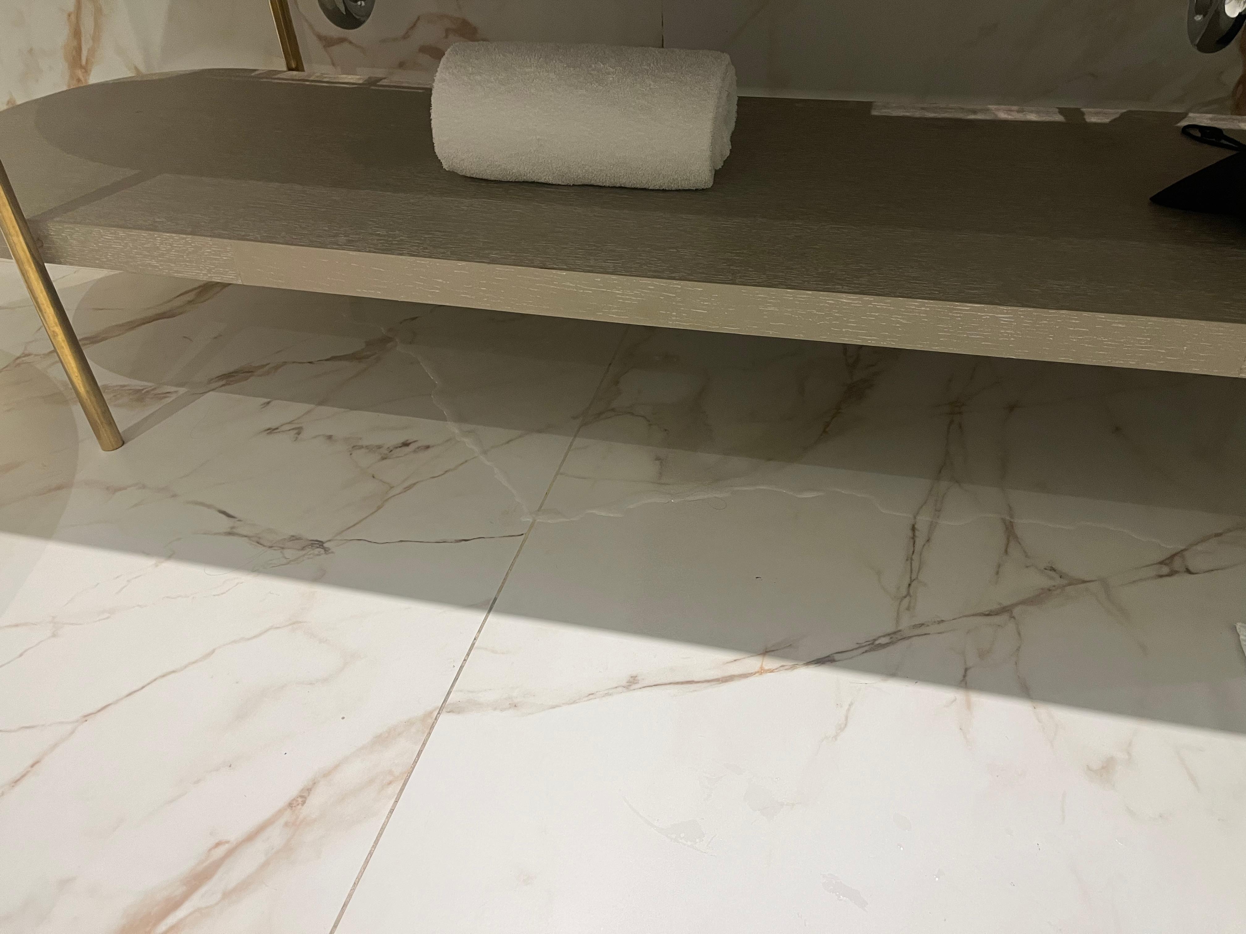 Water that was leaking from shower into common bathroom area. They told us to stuff towels under the door. Badly remodeled and designed bathrooms. 