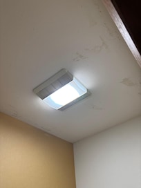 Mold on the ceiling