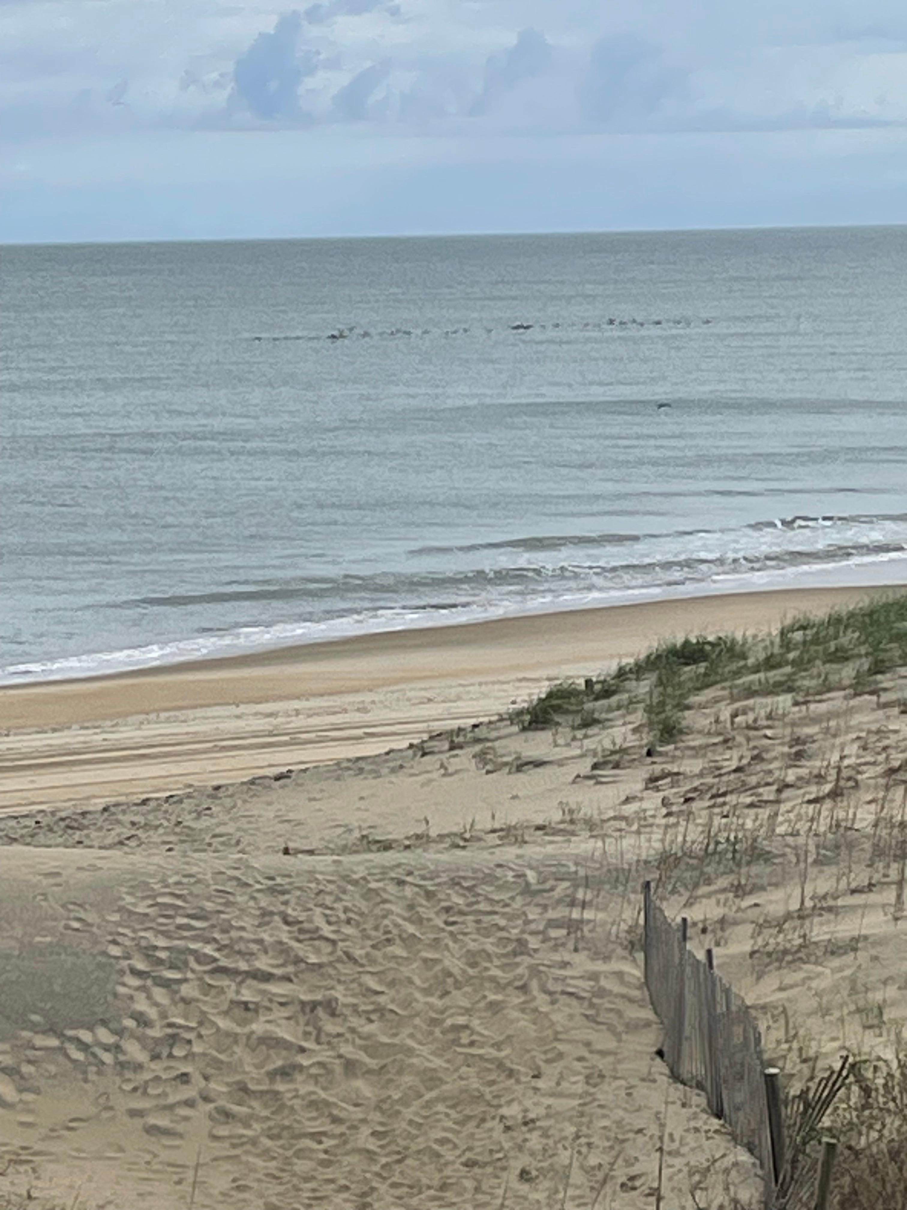 View from the balcony. 