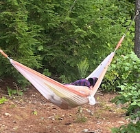 The hammock