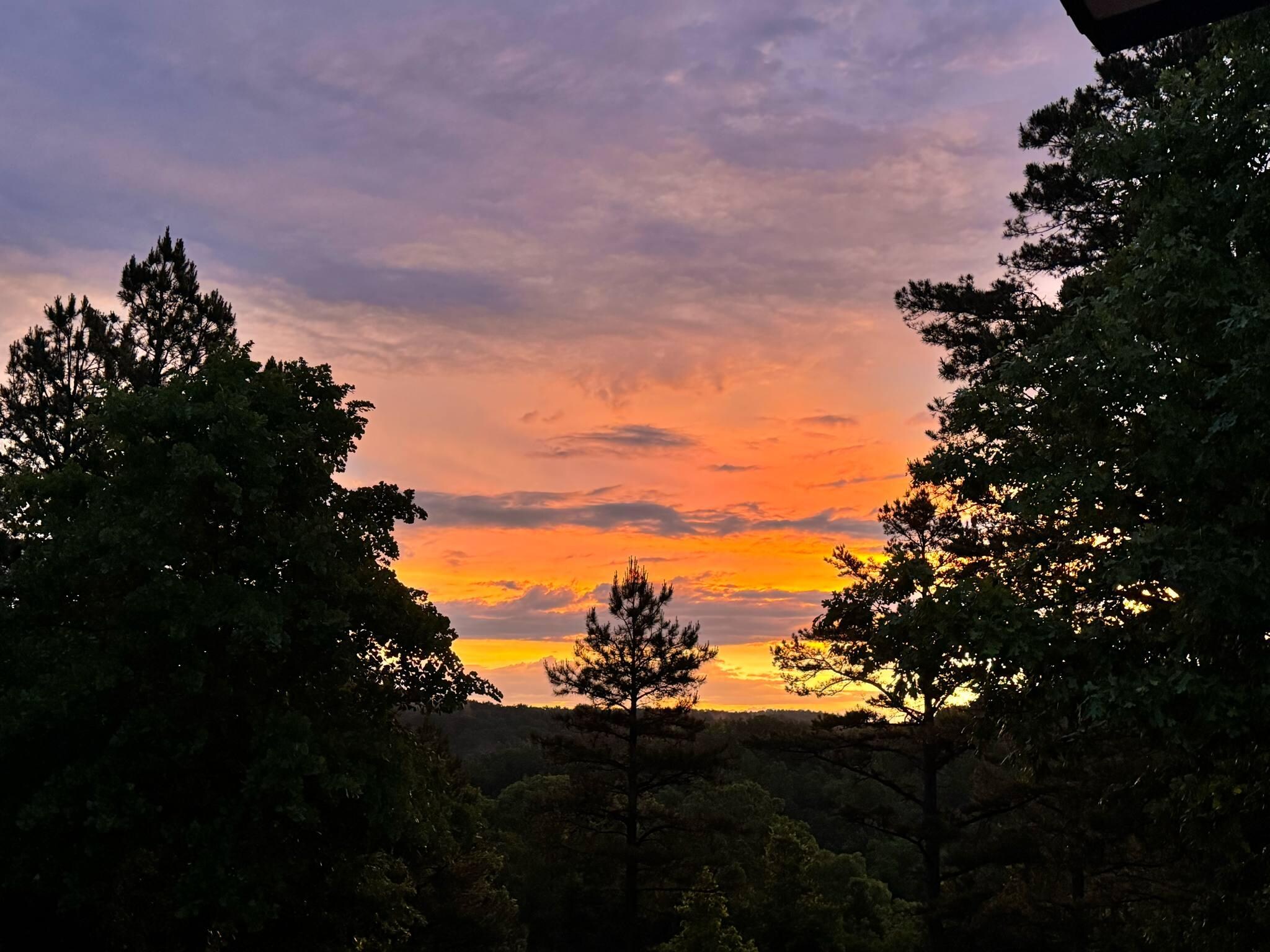 Getting up early is worth the view of the sunrise!