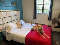 Otis immediately approved of the room, our home for the weekend!
