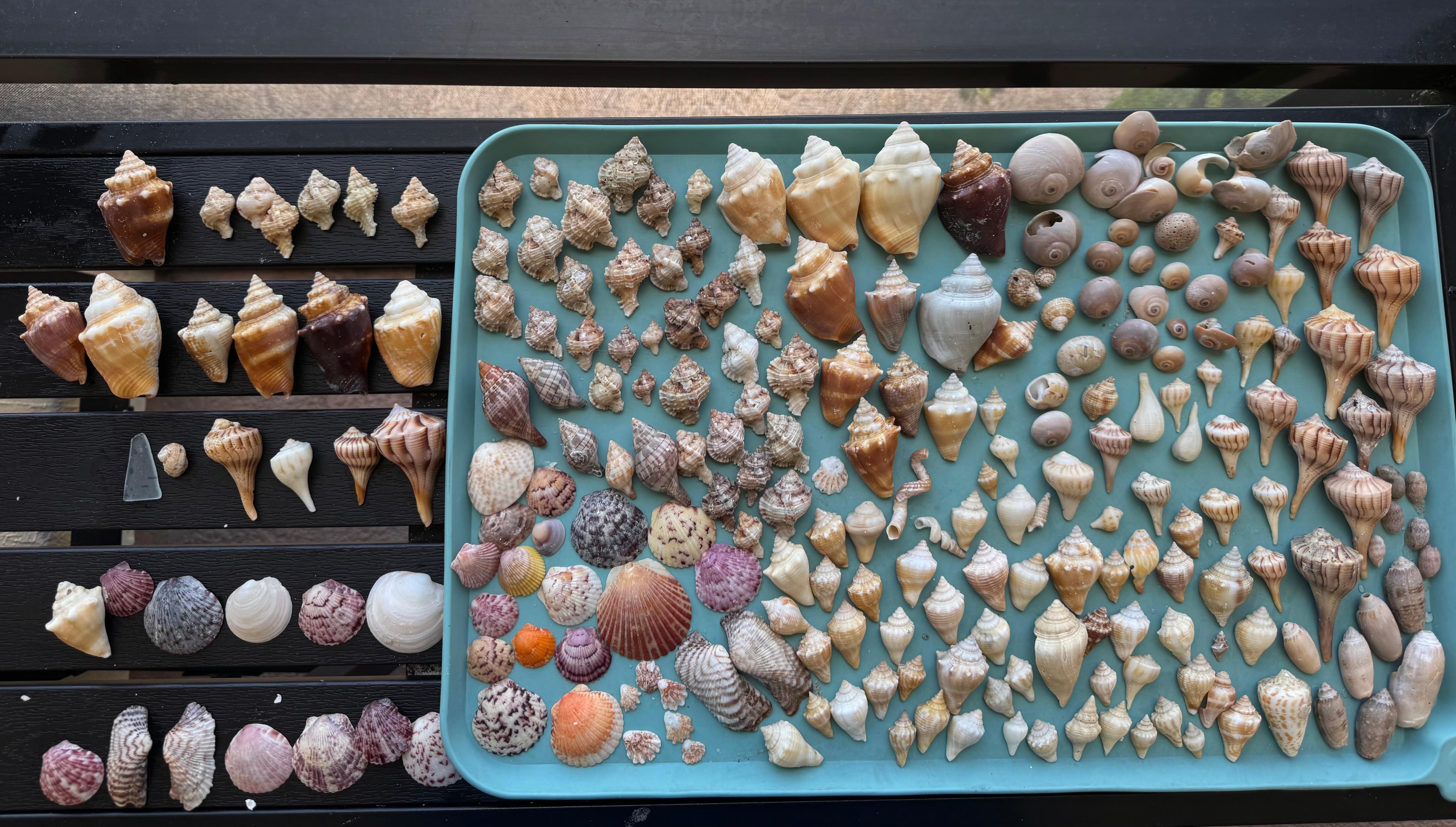 Just from one morning!