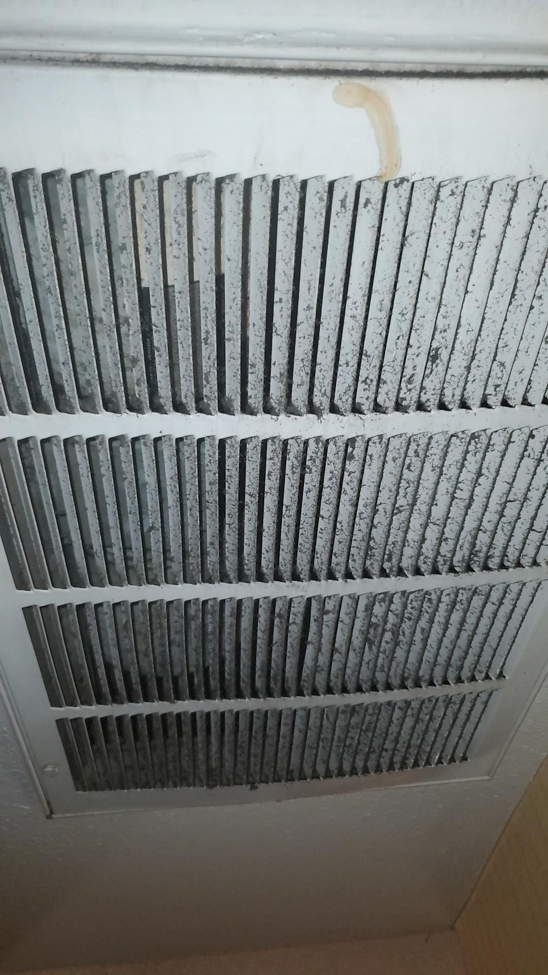 Another picture of the air filter