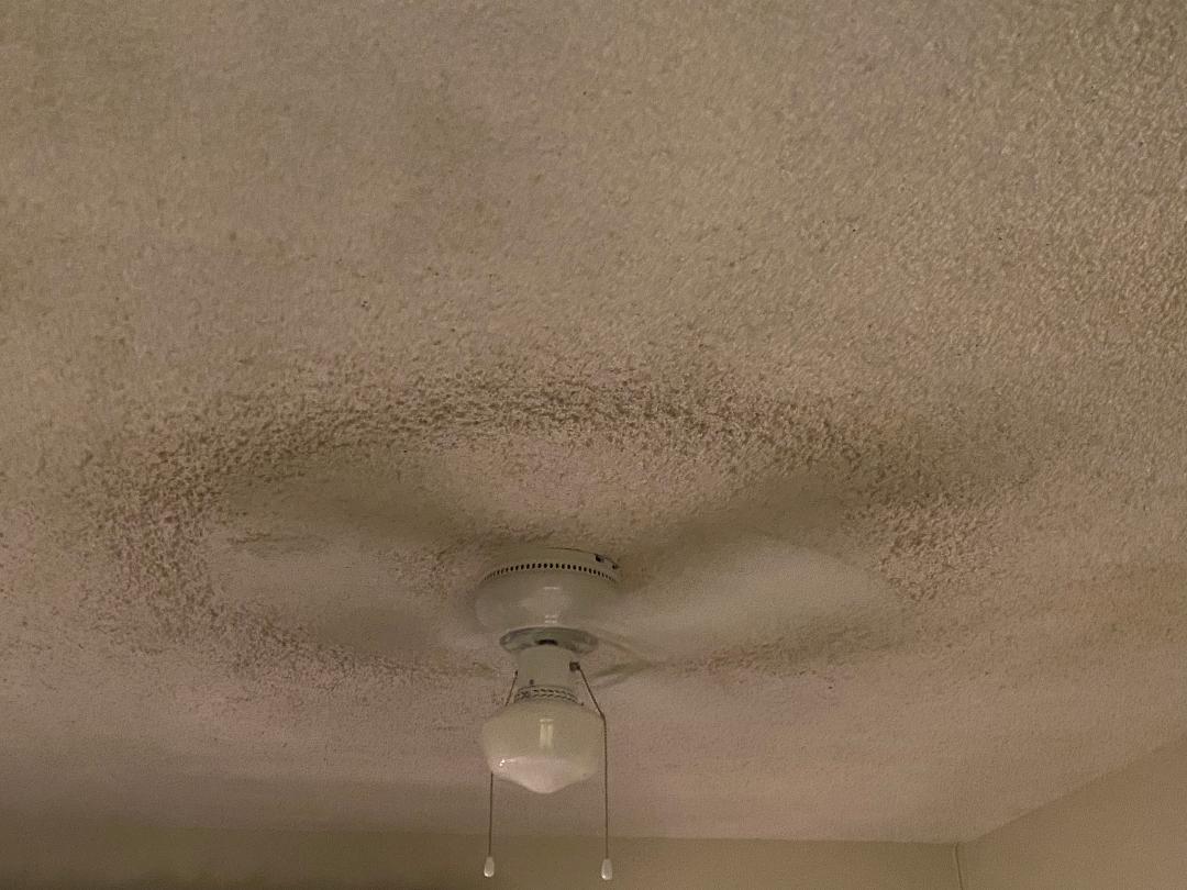 Filth on the Ceiling
THAT IS DIRT!!