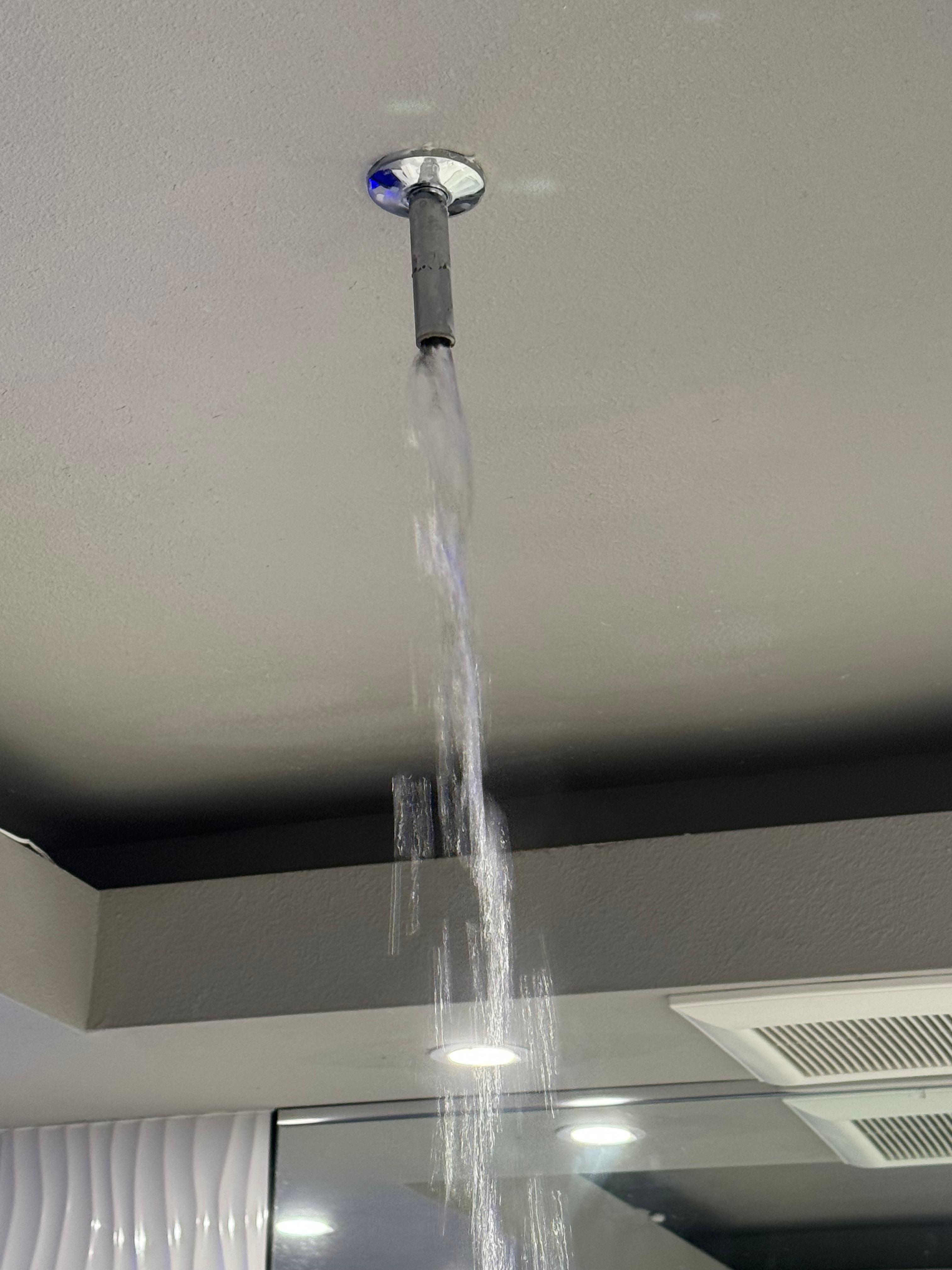 Supposed to have rainfall shower head 