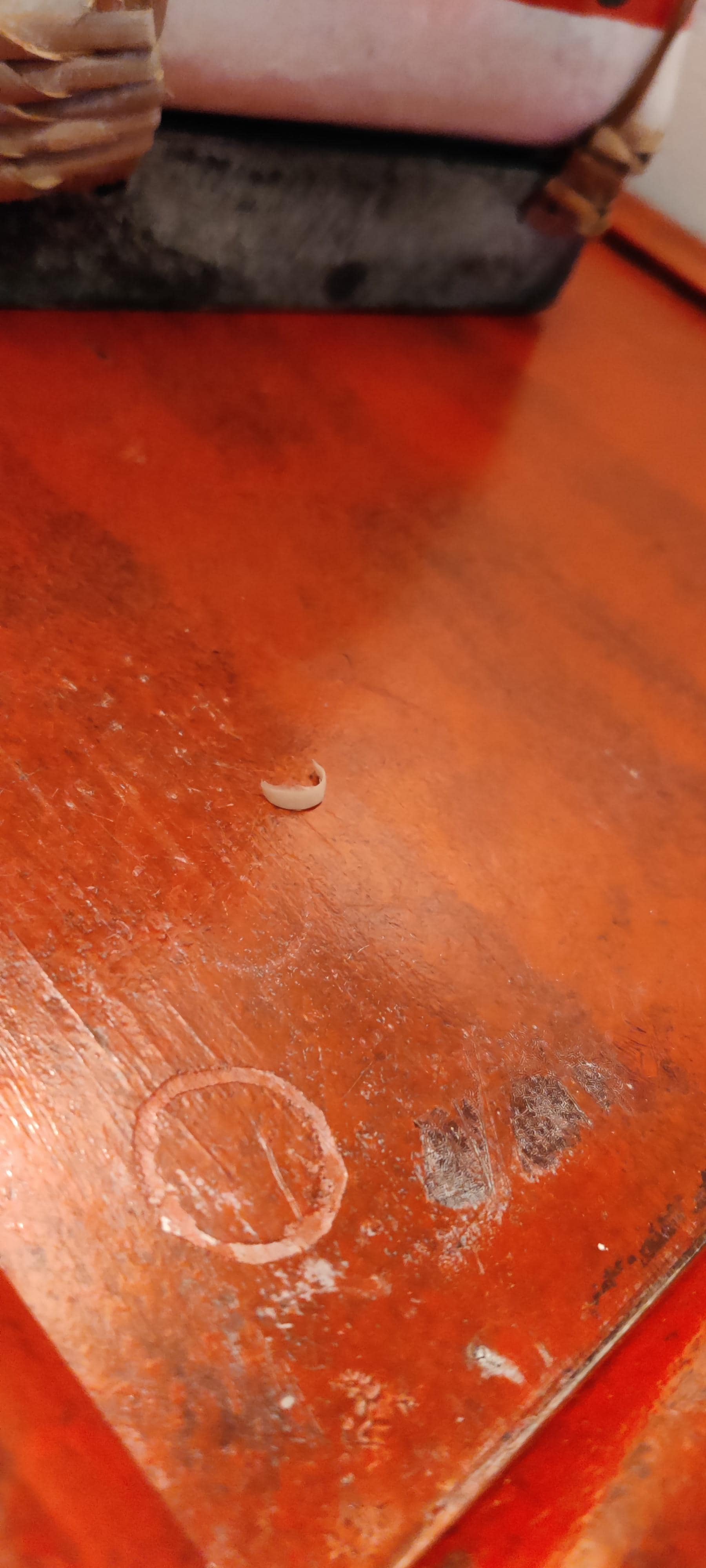 Picture of the toenail