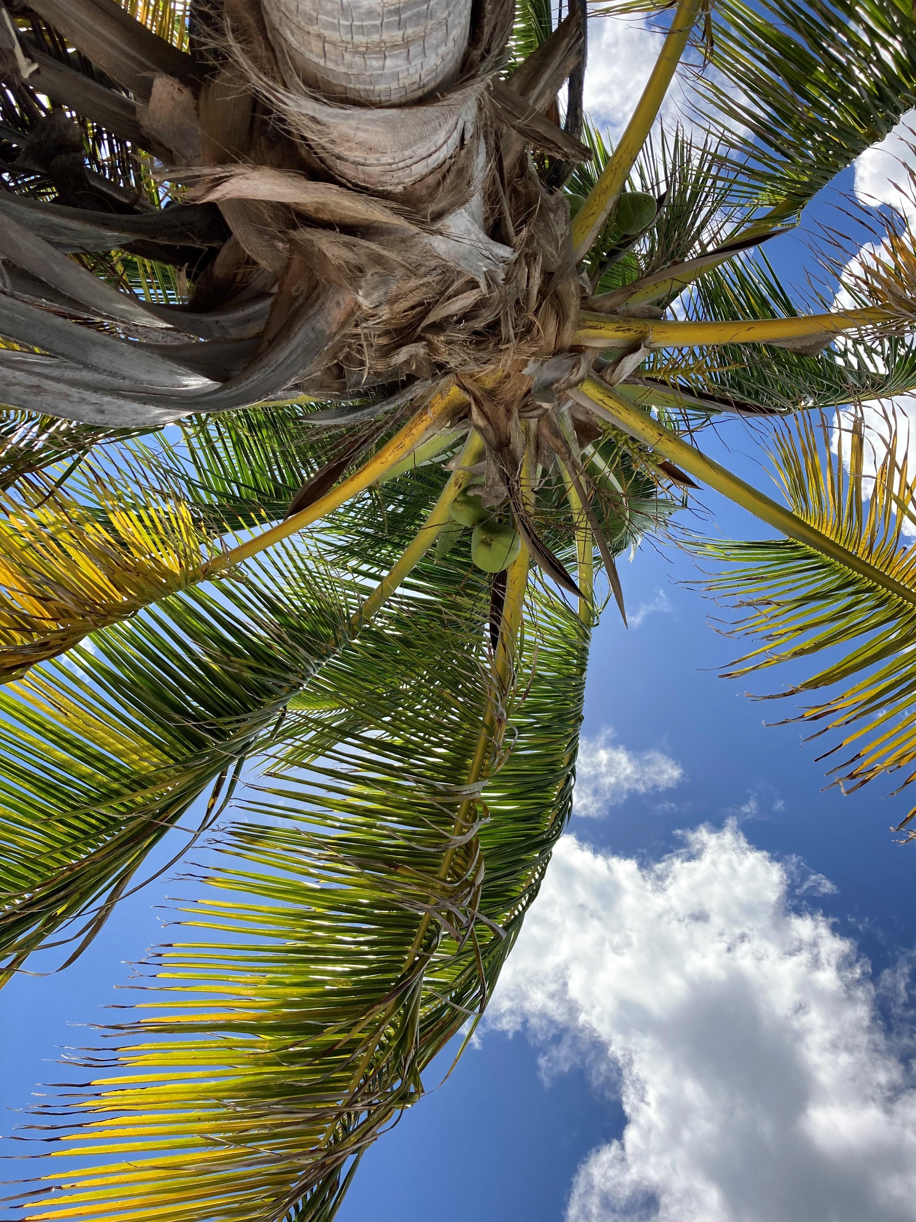 The view lying on the beach at Shoal Bay.