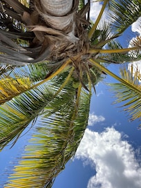 The view lying on the beach at Shoal Bay.