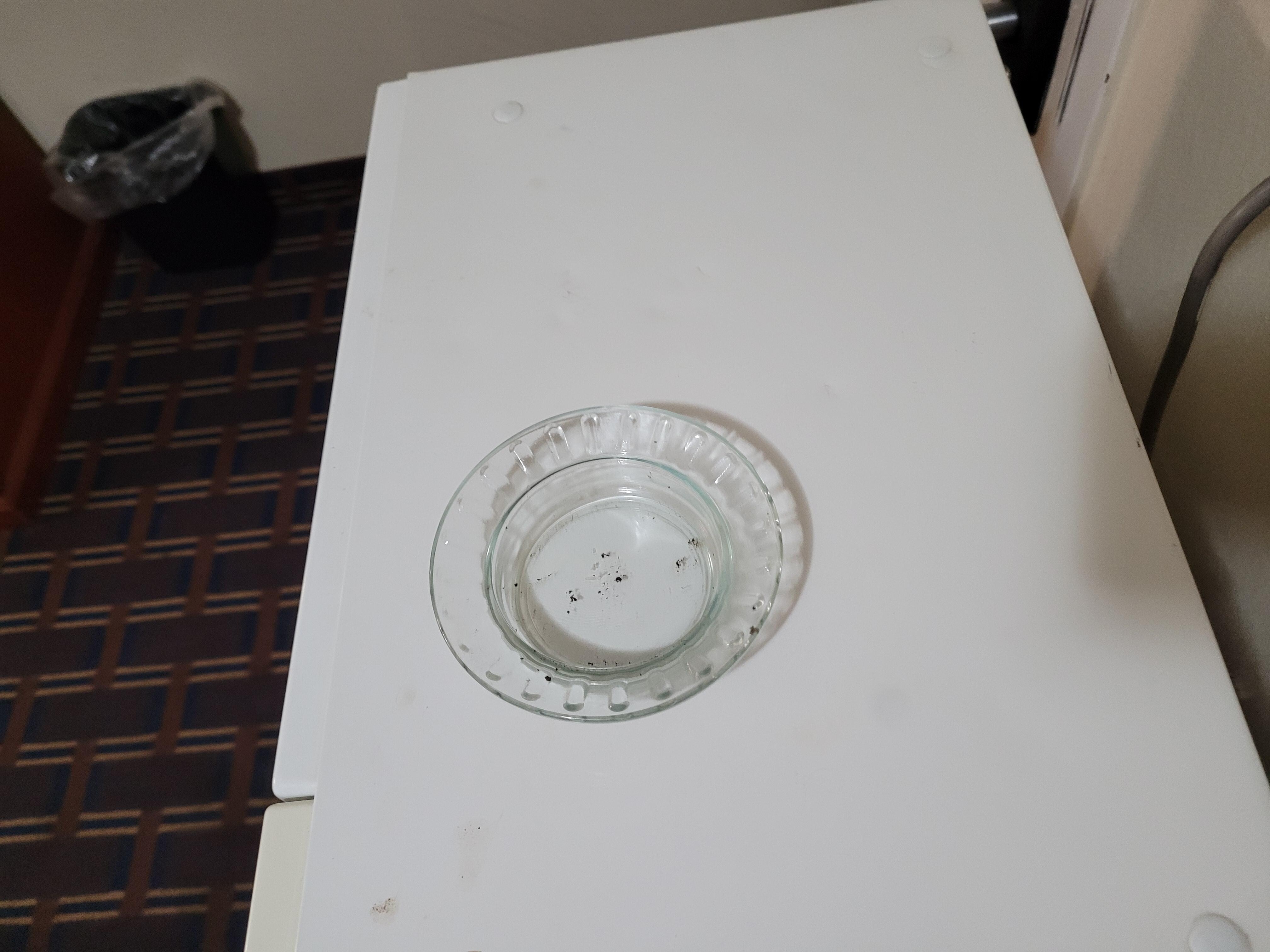 Ashtray in "non smoking room".