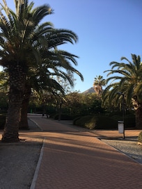 Paloma Park early evening