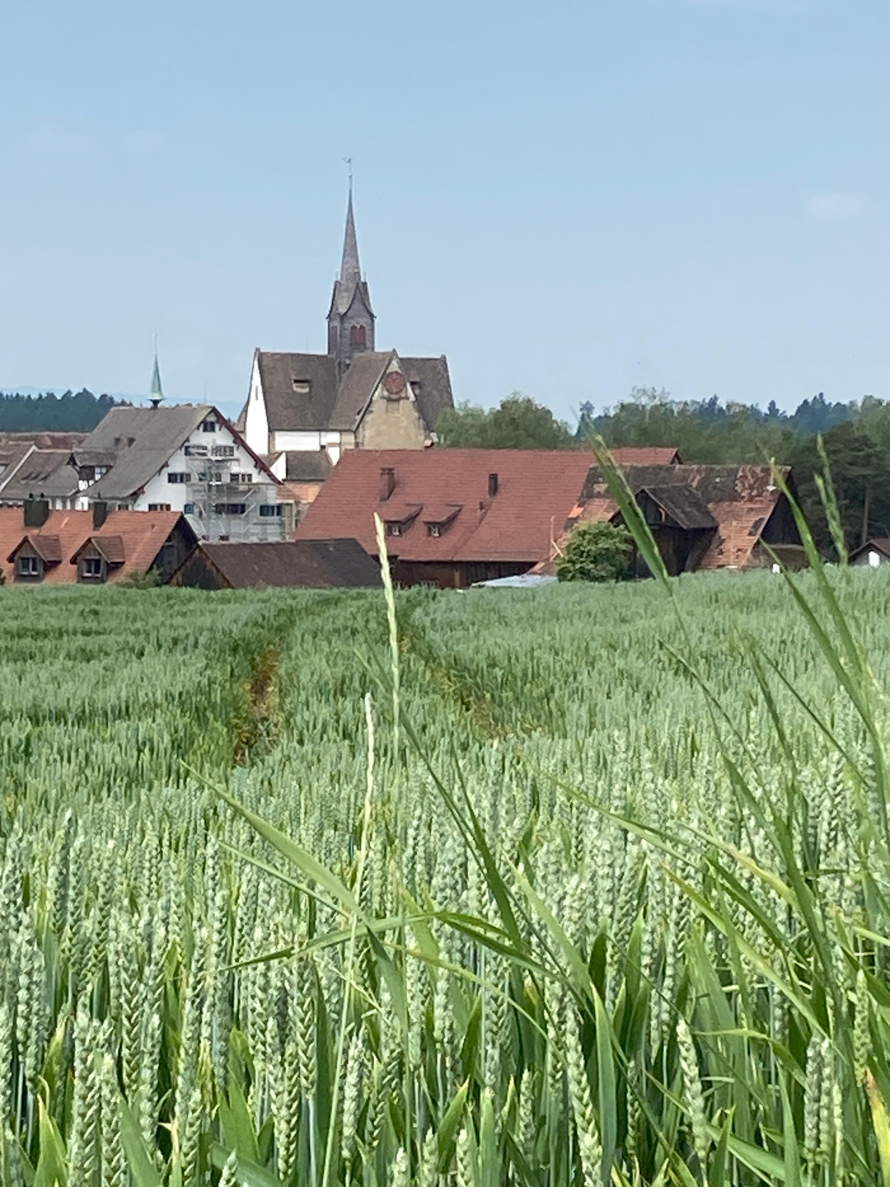 Das Ensemble Kloster und Seminarhotel