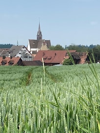 Das Ensemble Kloster und Seminarhotel
