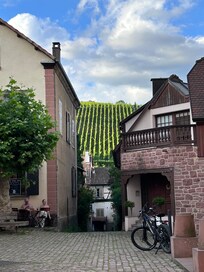 Omgivet af vinmarker