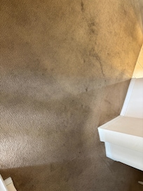 Filthy and old carpet all over the apartment
