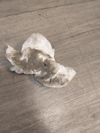 I wiped up some of the AC junk from the disgusting floor. This is one fast swipe