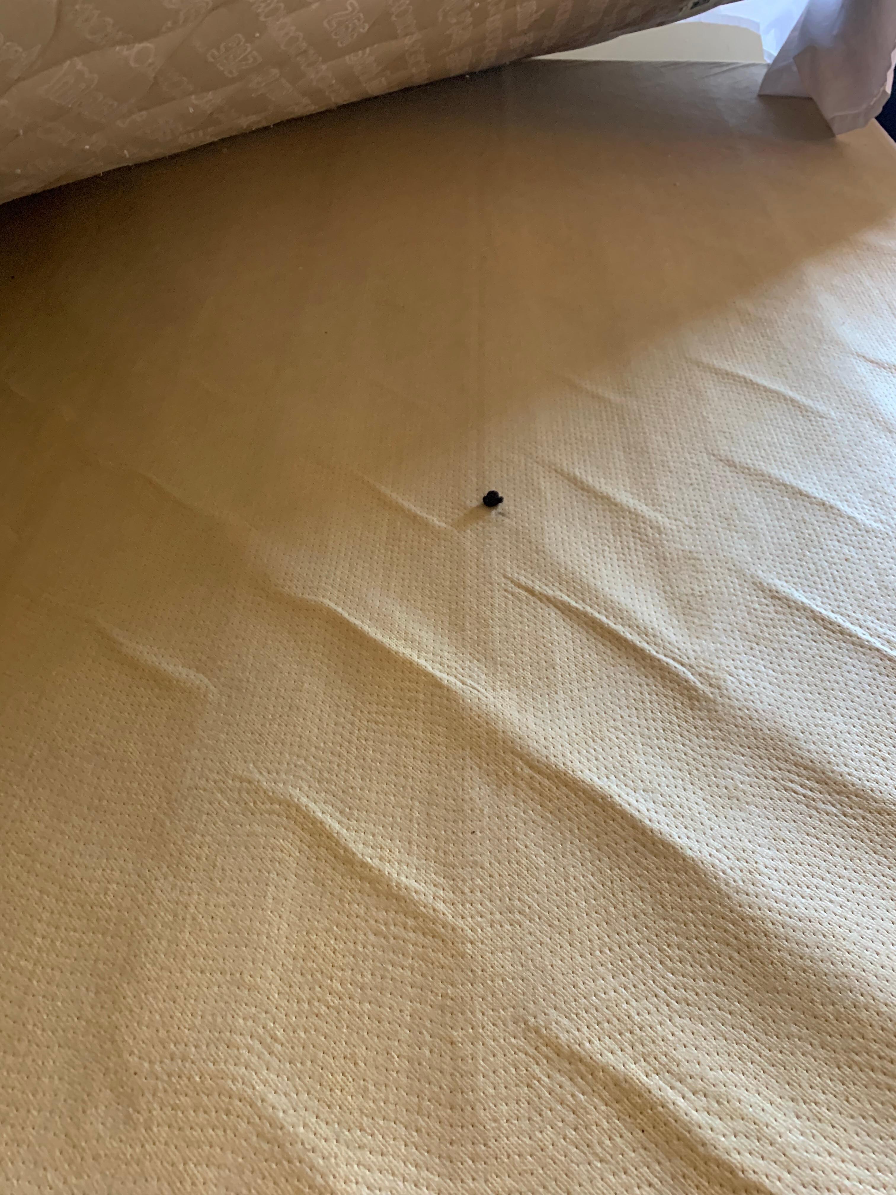 Smoke stuff under my mattress