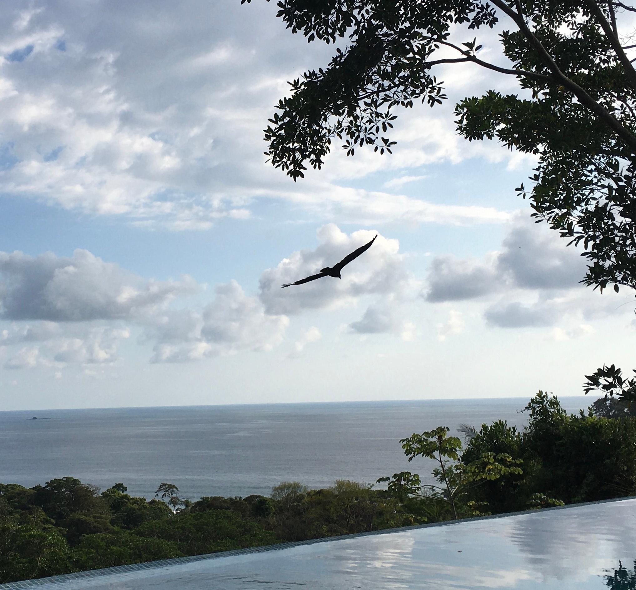 Piscine à débordement vue mer 