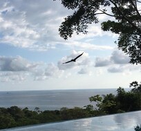 Piscine à débordement vue mer