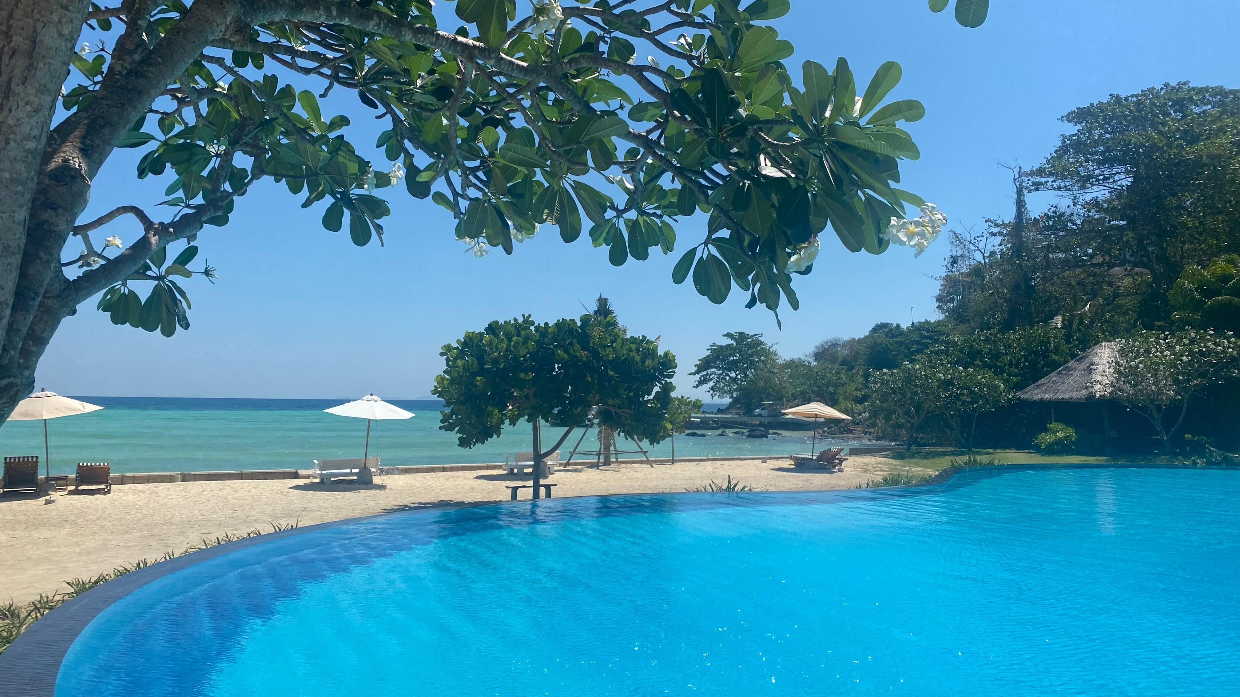 View from the pool