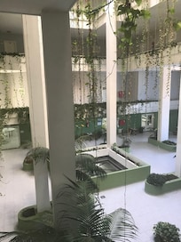Aula