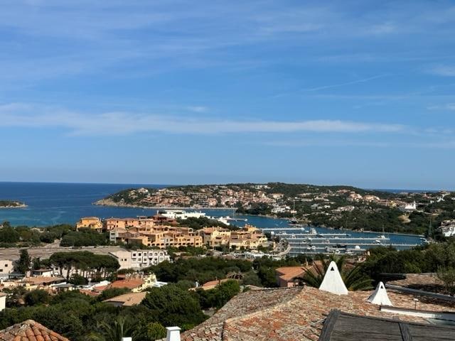 View from the patio