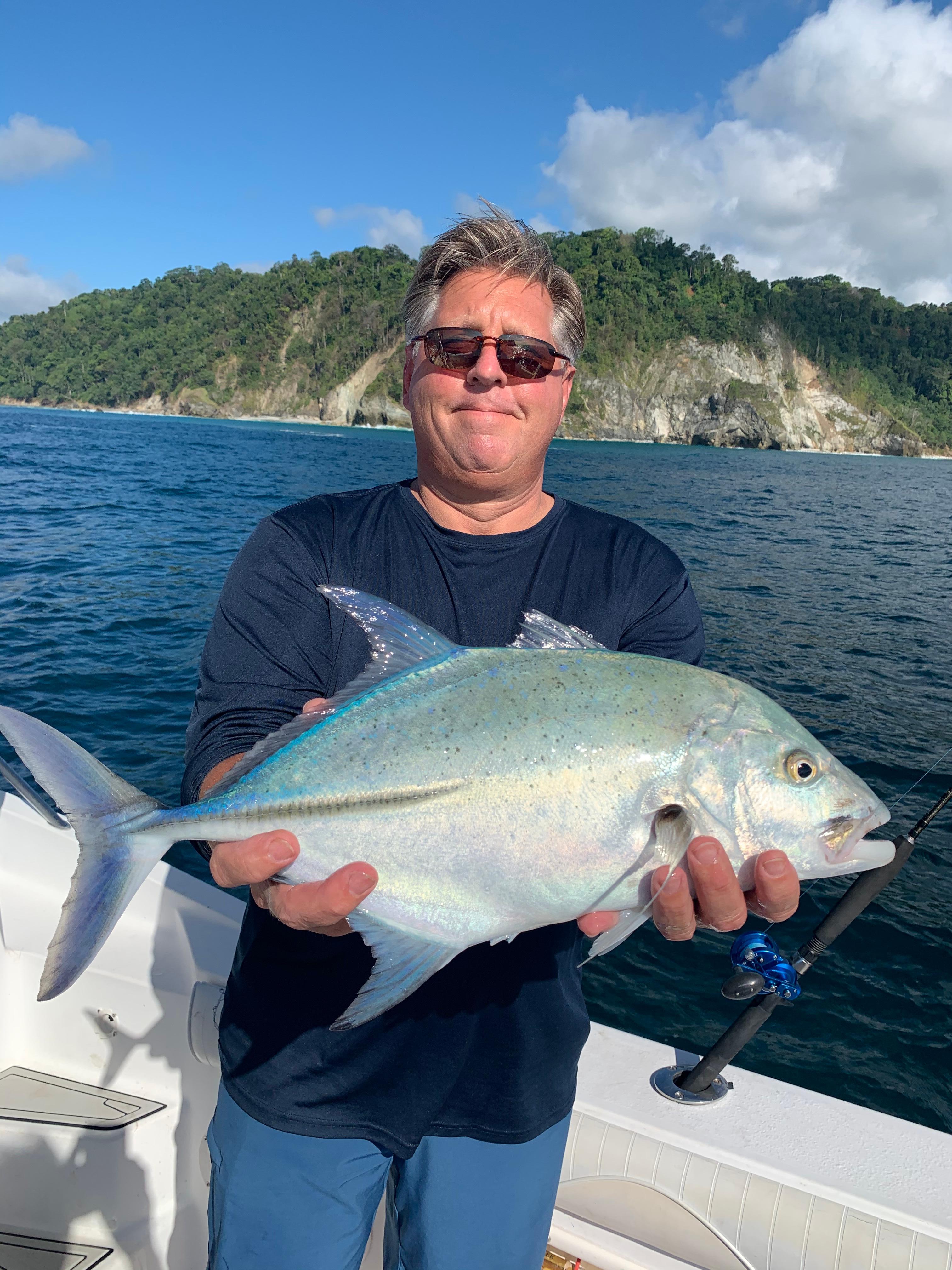 Blue Crevalle