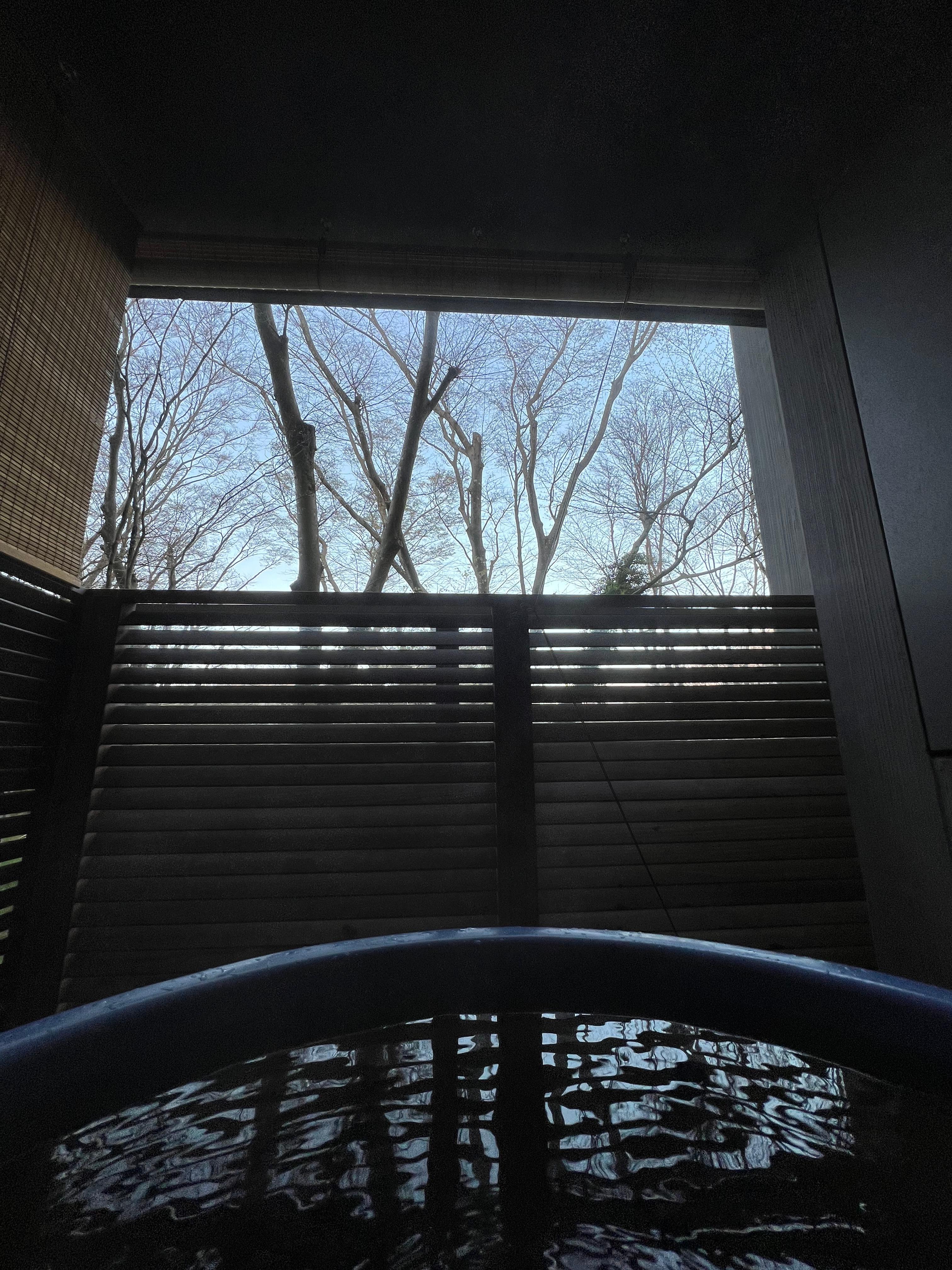 Private open air bath in our room.