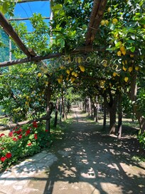 Entrance to the grounds