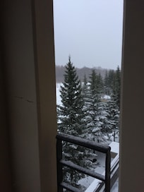 View from the room. Each has a veranda.