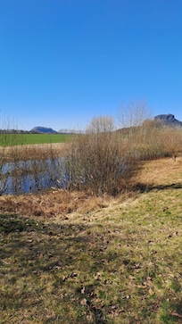 Blick zum Lilienstein vom Gohrischer Rundweg